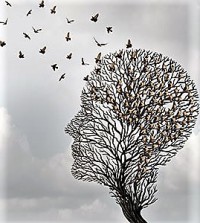 maladies neurologiques