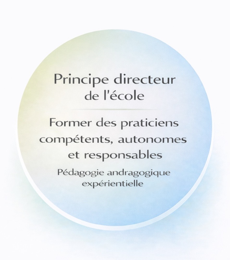 dessin principes directeur rond 2026